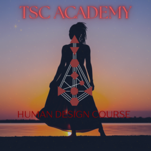 Human Design Foundations — 4 Part Certification Series (Part 1)